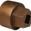 pentagon hex nut