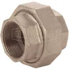 NPT Threaded Union